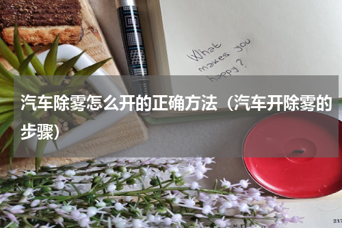 汽车除雾怎么开的正确方法（汽车开除雾的步骤）