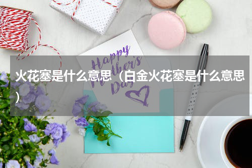 火花塞是什么意思（白金火花塞是什么意思）