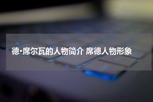 德·席尔瓦的人物简介 席德人物形象