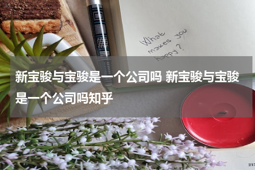 新宝骏与宝骏是一个公司吗 新宝骏与宝骏是一个公司吗知乎