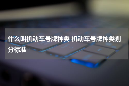 什么叫机动车号牌种类 机动车号牌种类划分标准