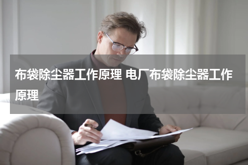 布袋除尘器工作原理 电厂布袋除尘器工作原理