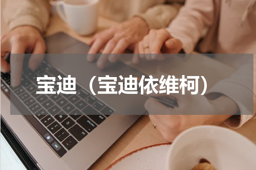 宝迪（宝迪依维柯）