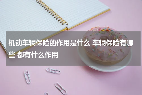 机动车辆保险的作用是什么 车辆保险有哪些 都有什么作用