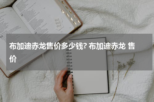 布加迪赤龙售价多少钱? 布加迪赤龙 售价