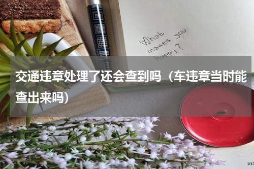 交通违章处理了还会查到吗（车违章当时能查出来吗）