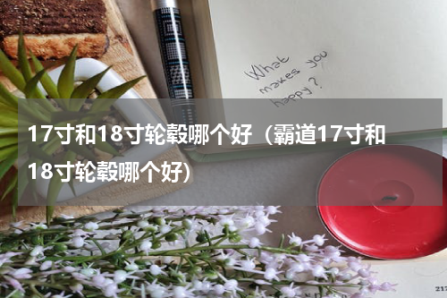 17寸和18寸轮毂哪个好（霸道17寸和18寸轮毂哪个好）