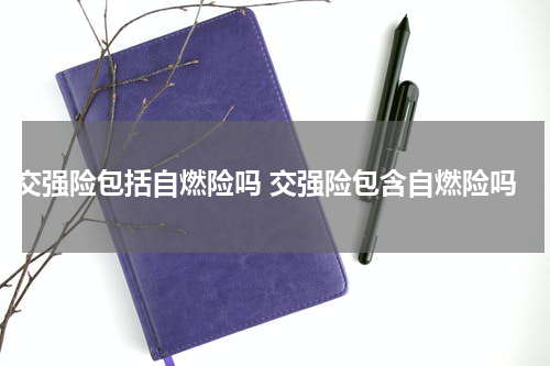 交强险包括自燃险吗 交强险包含自燃险吗