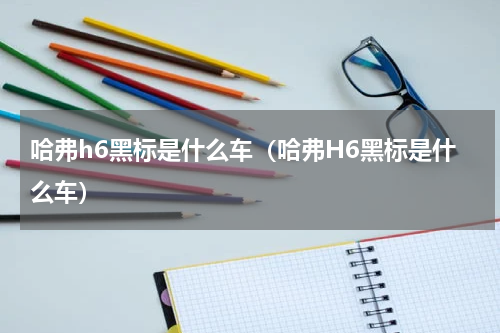哈弗h6黑标是什么车（哈弗H6黑标是什么车）