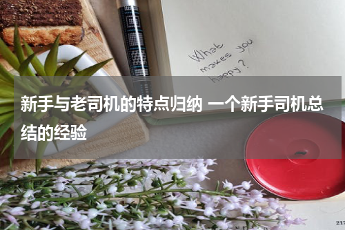 新手与老司机的特点归纳 一个新手司机总结的经验