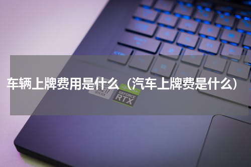 车辆上牌费用是什么（汽车上牌费是什么）