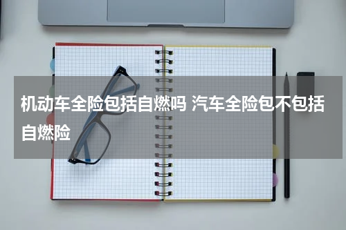 机动车全险包括自燃吗 汽车全险包不包括自燃险