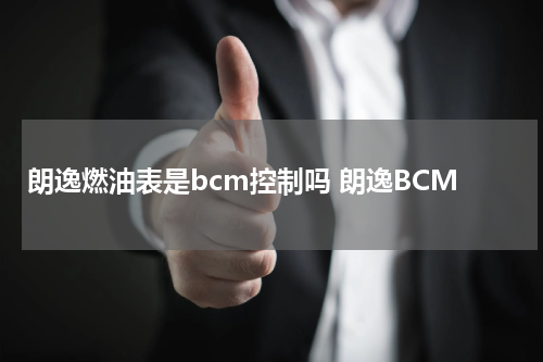 朗逸燃油表是bcm控制吗 朗逸BCM