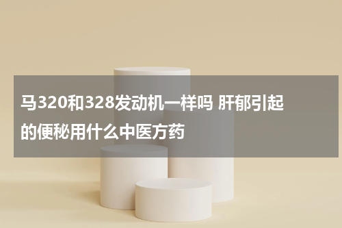 马320和328发动机一样吗 肝郁引起的便秘用什么中医方药