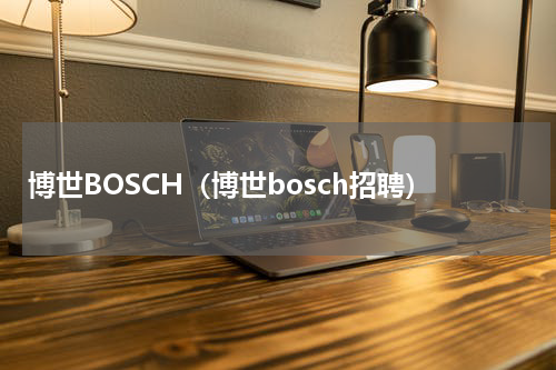 博世BOSCH（博世bosch招聘）
