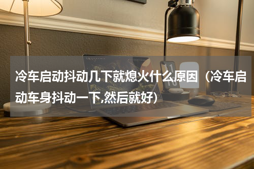 冷车启动抖动几下就熄火什么原因（冷车启动车身抖动一下,然后就好）