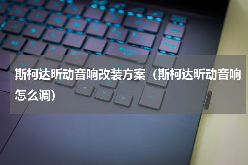 斯柯达昕动音响改装方案（斯柯达昕动音响怎么调）