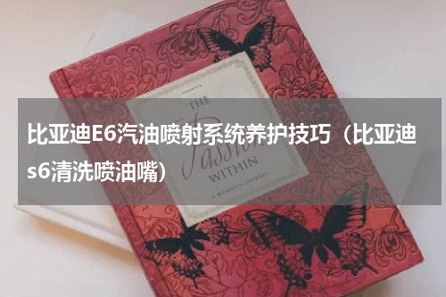 比亚迪E6汽油喷射系统养护技巧（比亚迪s6清洗喷油嘴）