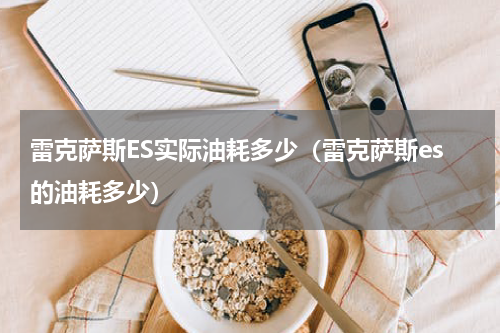 雷克萨斯ES实际油耗多少（雷克萨斯es的油耗多少）