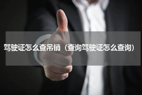 驾驶证怎么查吊销（查询驾驶证怎么查询）