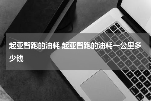 起亚智跑的油耗 起亚智跑的油耗一公里多少钱