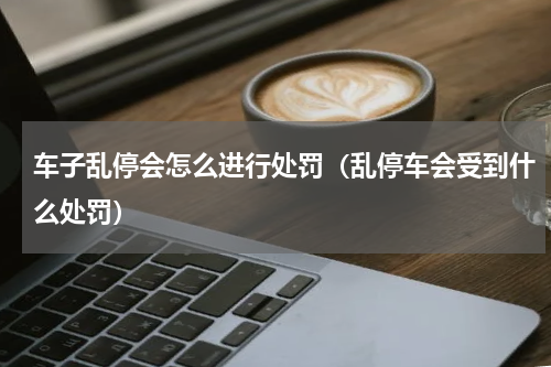 车子乱停会怎么进行处罚（乱停车会受到什么处罚）