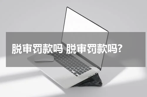 脱审罚款吗 脱审罚款吗?