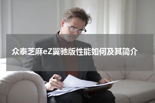 众泰芝麻eZ翼驰版性能如何及其简介