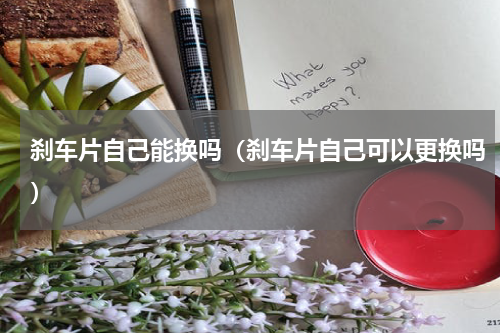 刹车片自己能换吗（刹车片自己可以更换吗）