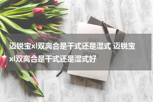 迈锐宝xl双离合是干式还是湿式 迈锐宝xl双离合是干式还是湿式好