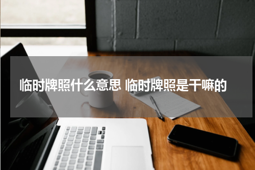 临时牌照什么意思 临时牌照是干嘛的
