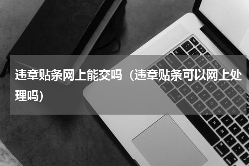 违章贴条网上能交吗（违章贴条可以网上处理吗）