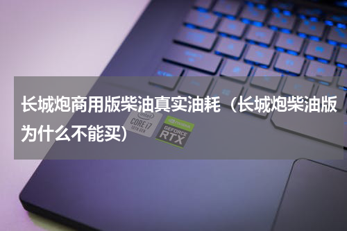 长城炮商用版柴油真实油耗（长城炮柴油版为什么不能买）