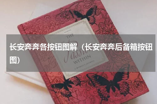 长安奔奔各按钮图解（长安奔奔后备箱按钮图）