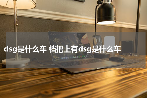 dsg是什么车 档把上有dsg是什么车