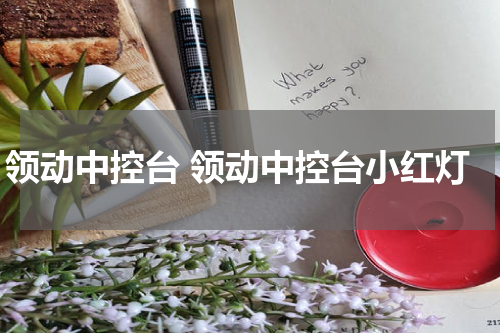 领动中控台 领动中控台小红灯