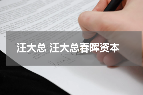 汪大总 汪大总春晖资本