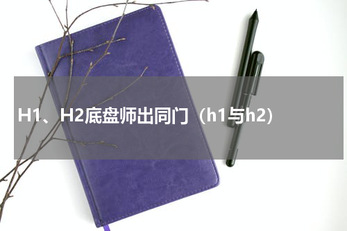 H1、H2底盘师出同门（h1与h2）