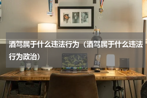 酒驾属于什么违法行为（酒驾属于什么违法行为政治）