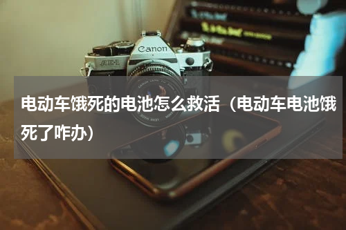 电动车饿死的电池怎么救活（电动车电池饿死了咋办）