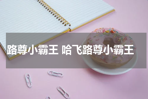路尊小霸王 哈飞路尊小霸王