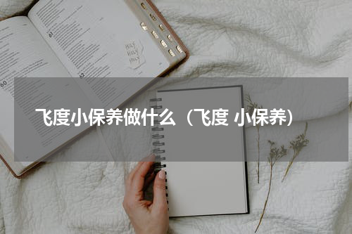 飞度小保养做什么（飞度 小保养）