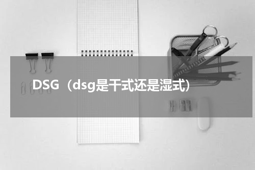 DSG（dsg是干式还是湿式）