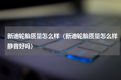 新迪轮胎质量怎么样（新迪轮胎质量怎么样静音好吗）