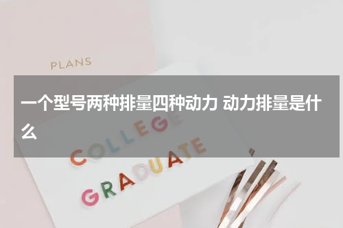 一个型号两种排量四种动力 动力排量是什么