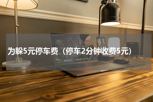 为躲5元停车费（停车2分钟收费5元）