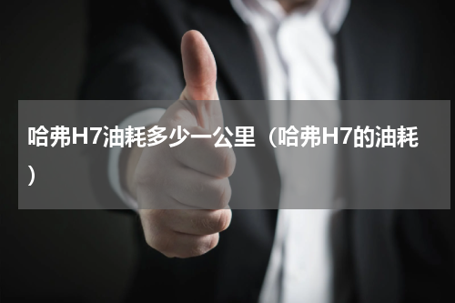 哈弗H7油耗多少一公里（哈弗H7的油耗）