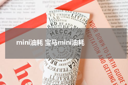mini油耗 宝马mini油耗