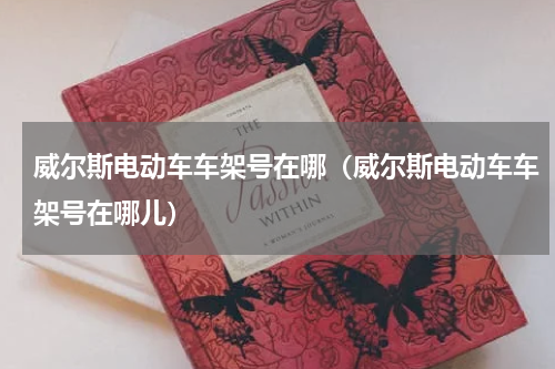 威尔斯电动车车架号在哪（威尔斯电动车车架号在哪儿）