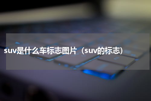 suv是什么车标志图片(suv的标志)